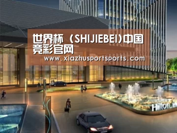 案例展示二(图1)