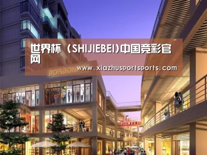 案例展示一