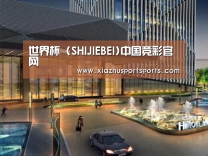 案例展示二