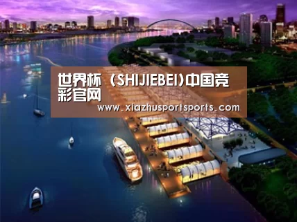 案例展示八