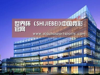 案例展示五