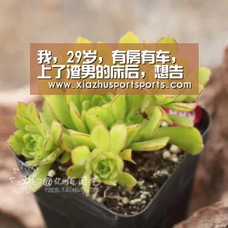 世界杯下注