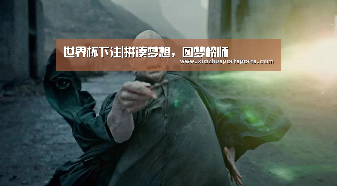 世界杯下注|拼凑梦想,圆梦岭师(图2) 世界杯竞猜平台