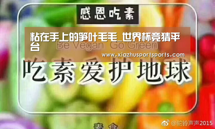 世界杯下注官网