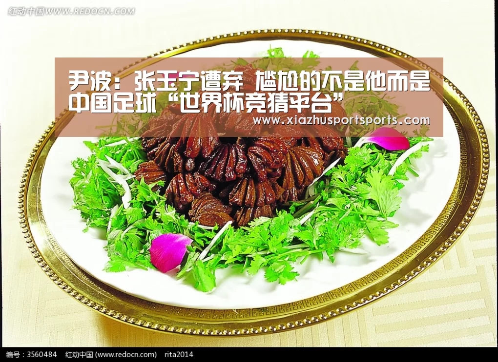 尹波:张玉宁遭弃 尴尬的不是他而是中国足球“世界杯竞猜平台”(图2) 世界杯竞猜平台
