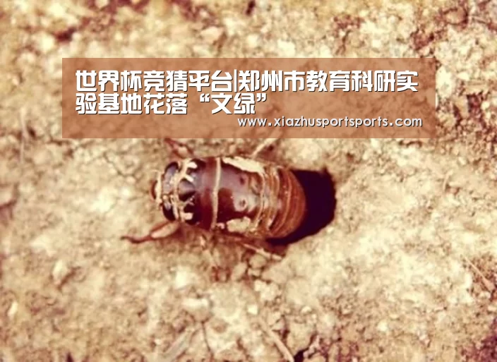 世界杯竞猜平台|郑州市教育科研实验基地花落“文绿”(图4) 世界杯竞猜平台